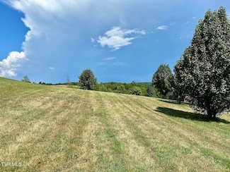 tbd Dulaney Rd, Mosheim, TN 37745