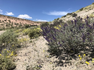 000 Pumice Mill Rd, Chalfant, CA 93514