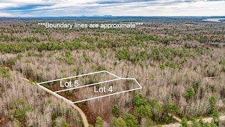 M10L29A4&5 Miller Ln, Surry, ME 04684