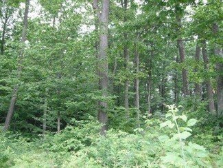Lot 21 Dubay Dr Unit Grand View Beach on, Mosinee, WI 54455