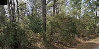 205 Ginn Altman Ave, Hampton, SC 29924