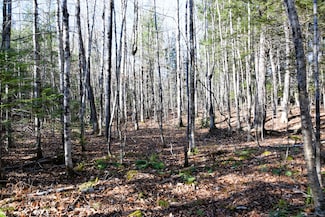 M7 L19-5 Pine Bluff Rd, Embden, ME 04958