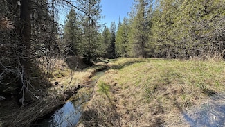 0 Tbd Salmonberry Rd- Parcel 17, Orofino, ID 83554