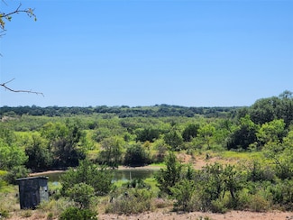 TBD Hwy 87, Brady, TX 76825