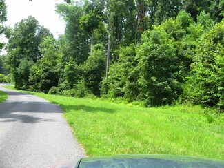 000 Hwy 295 Unit ELM CHURCH RD, Kuttawa, KY 42055
