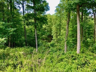 0 Bear Hollow Dr Unit 24022393, Waverly, TN 37185