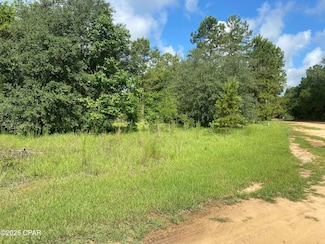 0000 Oak Dr Unit 35, Marianna, FL 32446