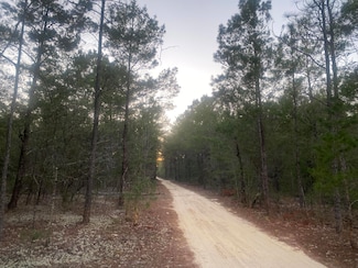 00 E Black Cherry Dr, Defuniak Springs, FL 32433