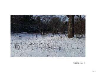 LOT 1 Pangborn Rd, Hastings, NY 13076