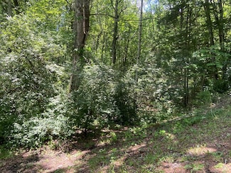 TBD Greenwood Rd, Bluefield, WV 24701