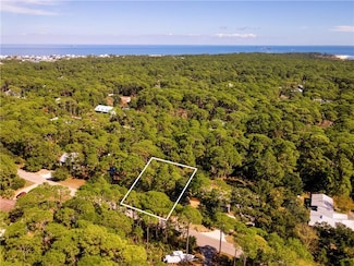112 Forney Johnston Dr, Dauphin Island, AL 36528