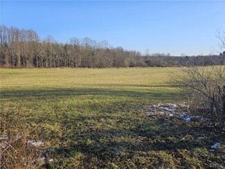Lot 7 Ryan Rd, Brutus, NY 13166