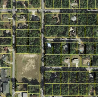 3022 E Glenn St, Inverness, FL 34453