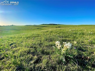 Parcel 3 Barney Rd, Calhan, CO 80808