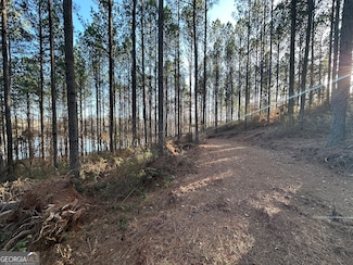 1708 Blue Creek Rd, Hogansville, GA 30230