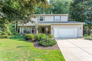 13600 Longspur Ct, Cleveland, OH 44125