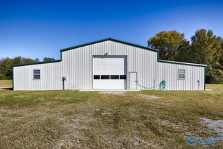 167 Henry Bayless Rd, Ardmore, TN 38449