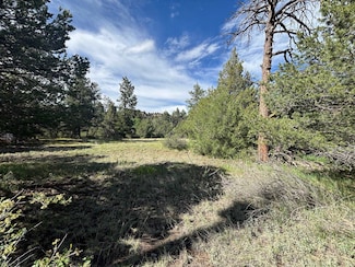 29655 U S Highway 64, Ute Park, NM 87749