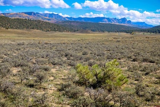 574 Stallion Place, Pagosa Springs, CO 81147