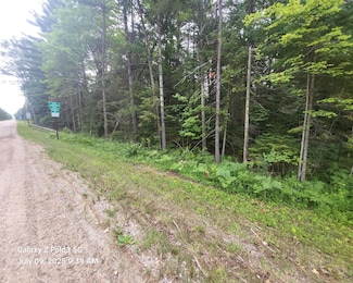 v/l Michigan Central Park Blvd, Lyon Township, MI 48653