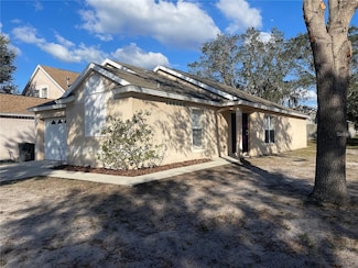 10222 Lakeside Vista Dr, Riverview, FL 33569