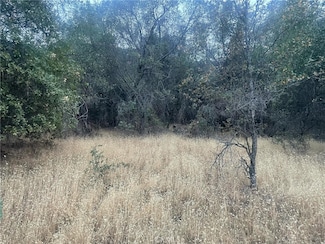 43020 Apache Ranch Rd, Ahwahnee, CA 93601