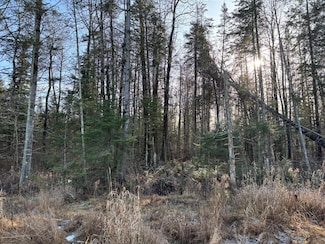 0 Black Alder Dr Unit 210314, Merrill, WI 54452