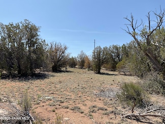 56640 N Agave, Seligman, AZ 86337