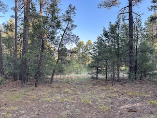 120 Skyland Blvd, Tijeras, NM 87059