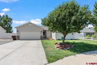 825 Cow Bell Ct, Montrose, CO 81401