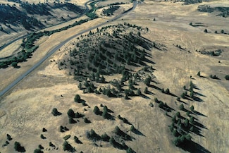 0 Ager Rd X Ager Beswick Unit 20251062, Montague, CA 96064