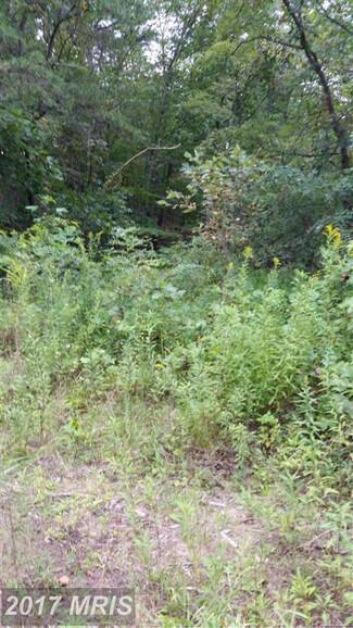 13641 Northwestern Pike, Augusta, WV 26704
