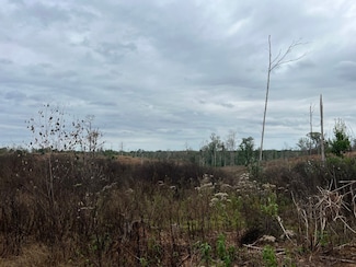 0 Amelia Rd, Beatrice, AL 36425