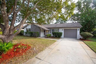 8300 Woodsong Row, Hudson, FL 34667