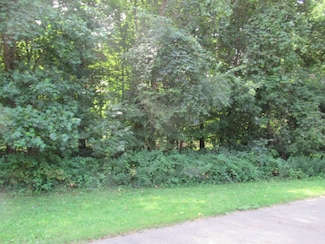 Tract 1 Deep Woods Dr, Lagrange Township, MI 49031