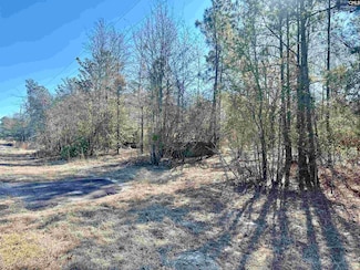 2351 State Road S-28-87, Bethune, SC 29009