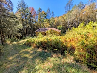 353 Boyscout Rd, Hamden, NY 13782