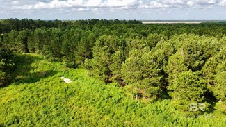0 James Rd Unit 379636, Foley, AL 36535