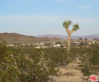 0 Stonehill Polaris Ave Unit 25534099, Joshua Tree, CA 92252