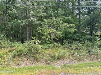 Lot 42 Willow Dr, Hemlock Farms, PA 18428