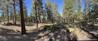 0 Aspen Turn Unit 14 REC7809335, Buena Vista, CO 81211