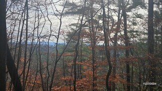 Lot 157 Roaring Forks Ln, Ellijay, GA 30540