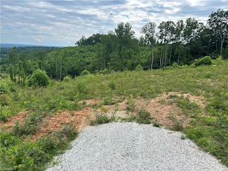 Lot 5 Howell Rd, Pilot Mountain, NC 27041