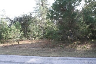 1734 E Tradewind Dr, Hernando, FL 34442