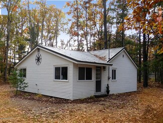14217 Cart Ave, Brethren, MI 49619