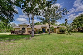 2415 Whooping Crane Dr, de Leon Springs, FL 32130