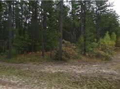 43 Silver Pine Ln, Tamworth, NH 03886