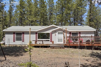 2450 Pathfinder Rd, Florissant, CO 80816