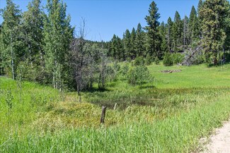 TBD N Fork Travis Creek Rd, Clancy, MT 59634