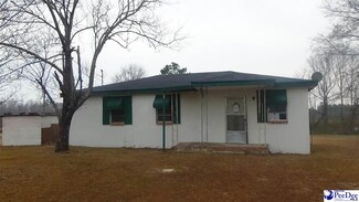 2347 Sc Highway 341 S, Lynchburg, SC 29080